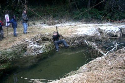 Creek Crossing